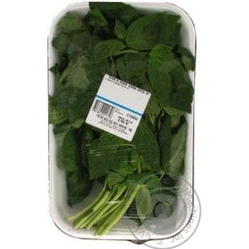 Basil green Israel kg