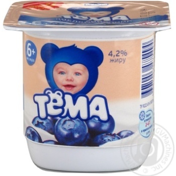 Cottage cheese Tema Blueberry for 6+ months babies 4.2% 100g plastic cup Russia