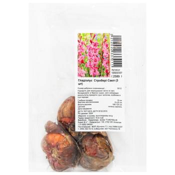 Бульбоцибулини гладіолуса Стробері Свел 3шт - купити, ціни на ULTRAMARKET - фото 1