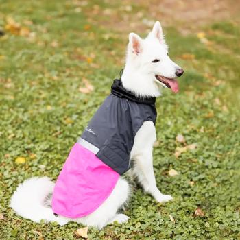 Pet Fashion Roy Body-Cloth for Dogs s.2XL Raspberry-gray - buy, prices for MasterZoo - photo 5