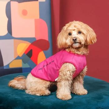 Pet Fashion Kale борцівка для собак XS-2 - купити, ціни на MasterZoo - фото 4