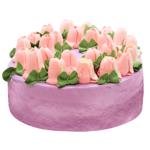 Торт Шоколадний Фрамбуаз