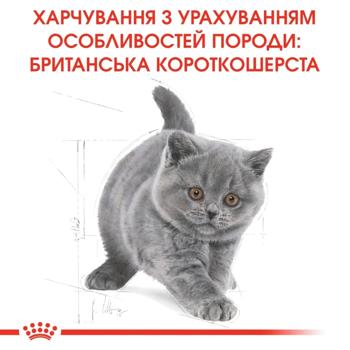 Набір корму Royal Canin для кошенят породи британська короткошерста cухий 2кг + вологий 4шт х 85г - купити, ціни на MasterZoo - фото 7