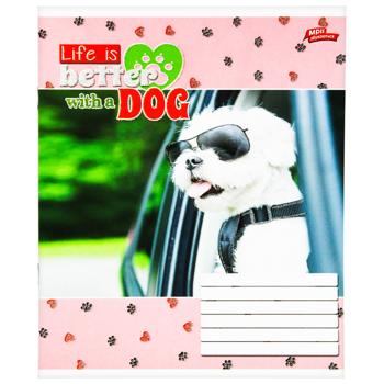 Тетрадь Мрії збуваються клетка 24 листа - купить, цены на Auchan - фото 5