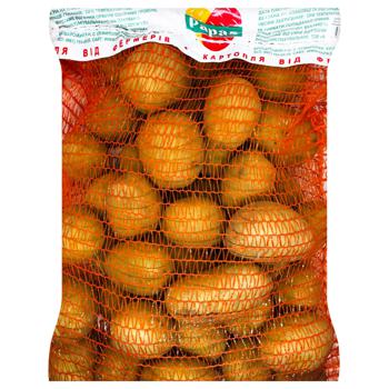 Potatoes in Mesh 5kg - buy, prices for METRO - photo 1