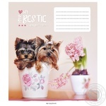 Star Exercise book 12 sheets lined
