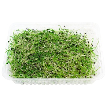 Mikrogreen Fresh Onion 50g - buy, prices for MegaMarket - photo 3