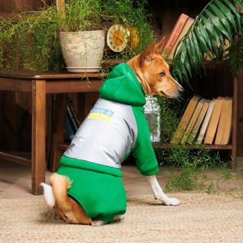 Pet Fashion Leaf Suit for Dogs s.XS2 - buy, prices for - photo 8