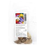 Bulb Without brand for garden 5pcs Netherlands