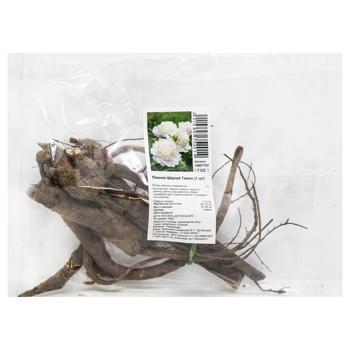 Корневище пиона Ширлей Темпл - купить, цены на За Раз - фото 1