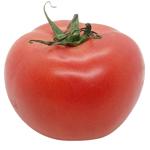 Homegrown Tomato