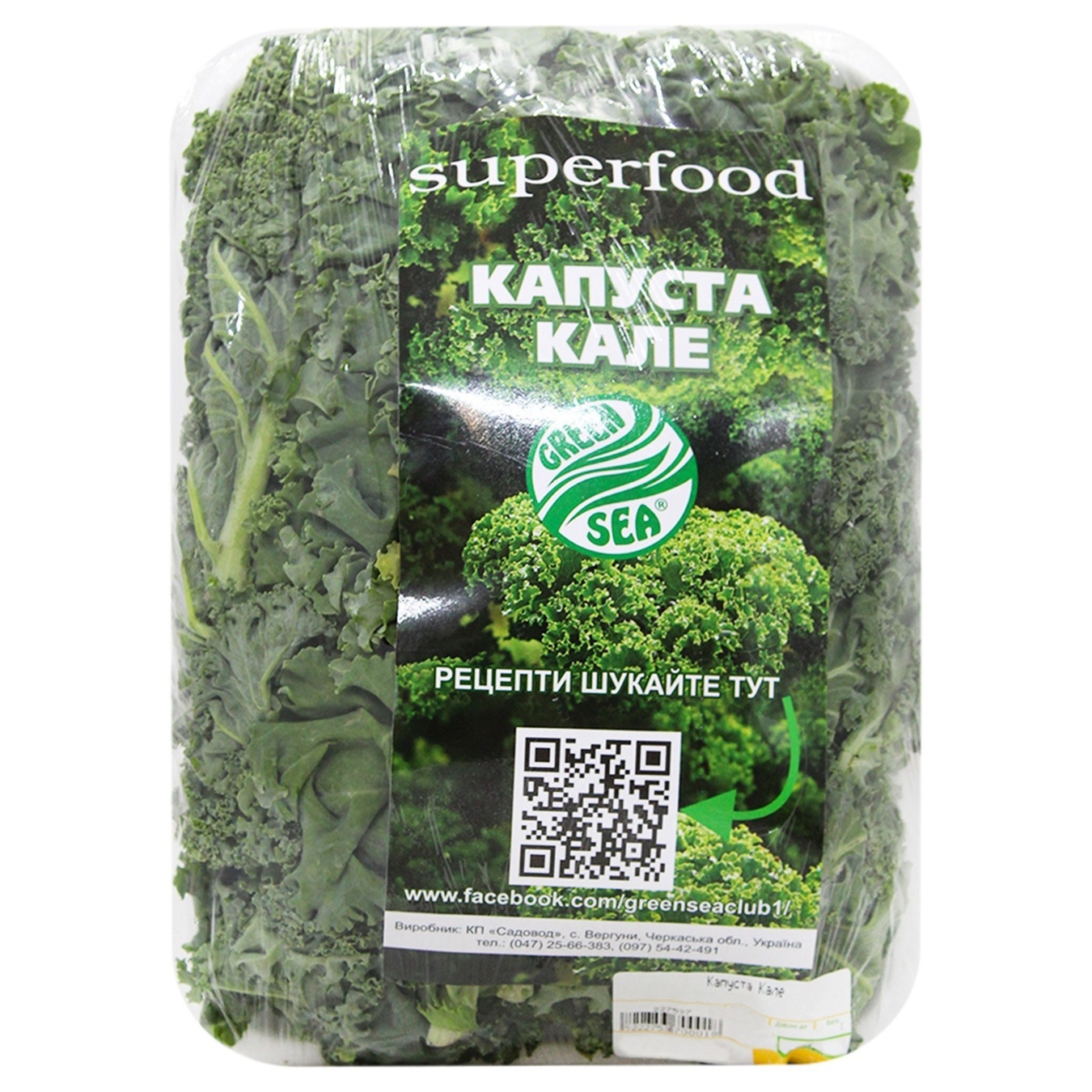 

Капуста Кале