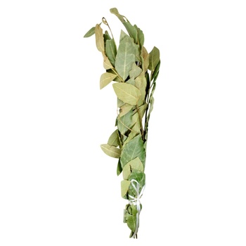 Bay Leaf Bundle