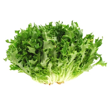 Frisee Lettuce - buy, prices for COSMOS - photo 2