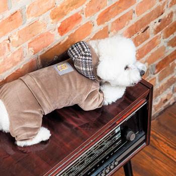 Pet Fashion Soft Suit for Dogs s.XS2 - buy, prices for - photo 6