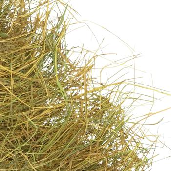 Мій Пухнастик відбірне сіно для гризунів 450 г - купити, ціни на MasterZoo - фото 2