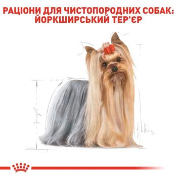 Корм влажный Royal Canin Adult с домашней птицей для собак породы йоркширский терьер 9+3шт*85г - купить, цены на MasterZoo - фото 4