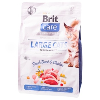 Корм сухий Brit Care Large Cats Power & Vitality з куркою та качкою для дорослих котів великих порід 2кг - купити, ціни на MasterZoo - фото 1