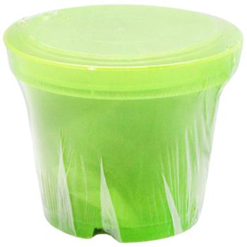 Set with Substrate and Pallet - buy, prices for - photo 6