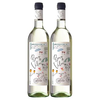 Baron de Vilar White Dry Wine set 11% 0.75l 2pcs - buy, prices for Za Raz - photo 1