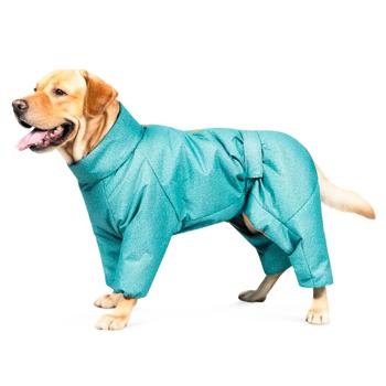 Pet Fashion Cold Raincoat for Dogs s.L Turquoise - buy, prices for MasterZoo - photo 2