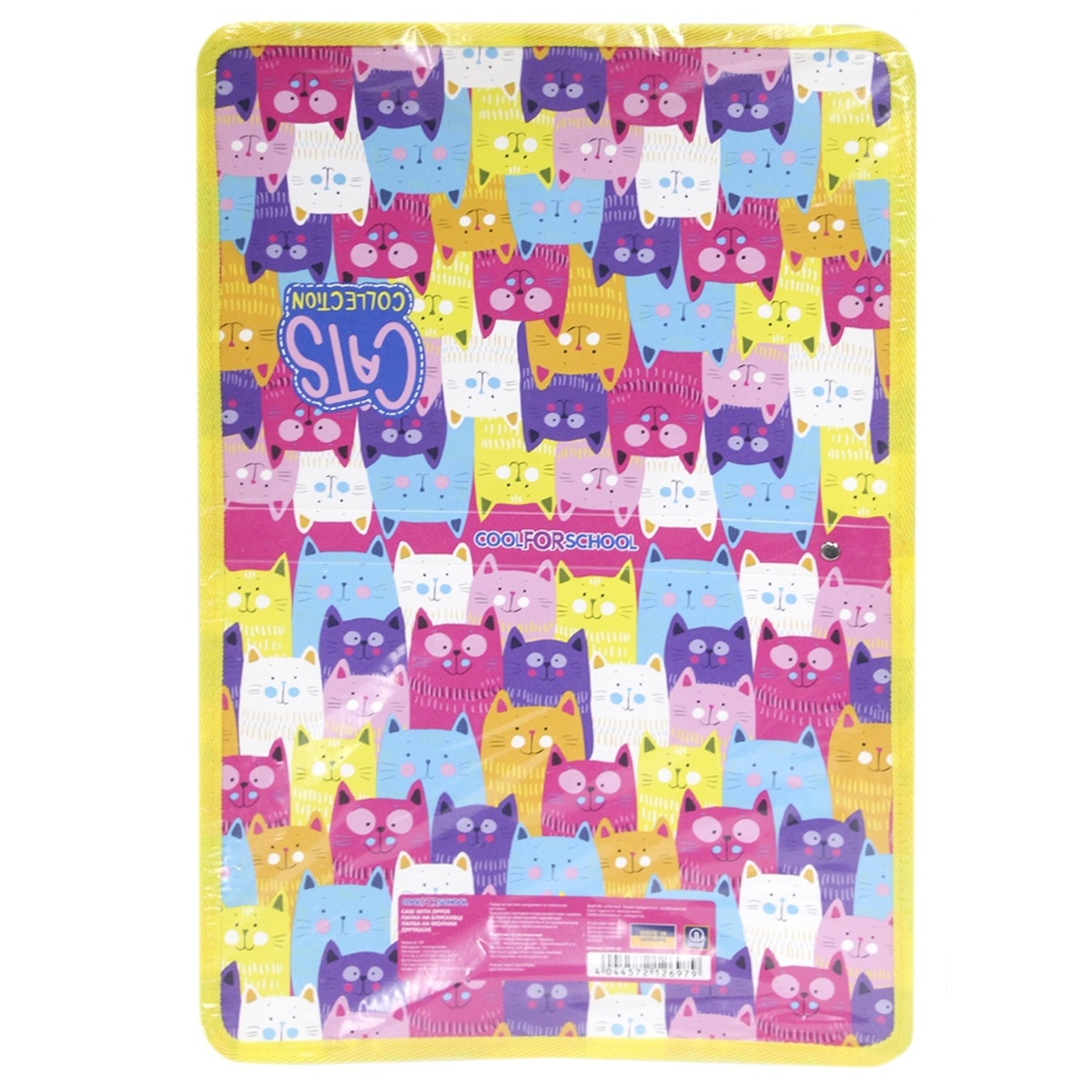 

Папка-пенал пластиковая на молнии Princess B5 CF32001-02