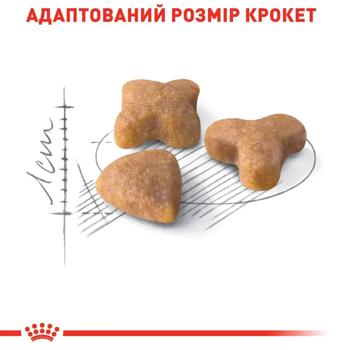 Корм сухий Royal Canin Sensible 33 з домашньою птицею для котів з чутливим травленням 2кг + 400г - купити, ціни на MasterZoo - фото 3