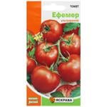 Yaskrava Ephemer Tomato Seeds 0.1g