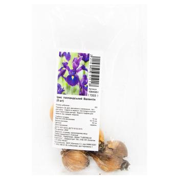 Dutch Iris Valentine Bulbs 5pcs - buy, prices for MegaMarket - photo 1