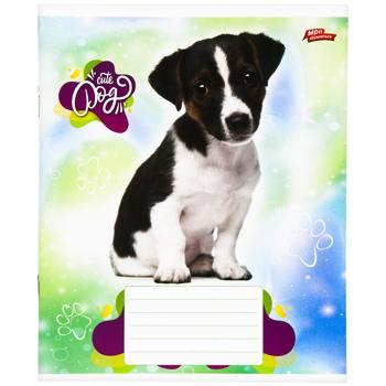 Mriyi zbuvayutʹsya Notebook in oblique line 12 sheets in stock - buy, prices for Auchan - photo 7