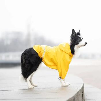Noble Pet Moss Raincoat for Dogs s.L Yellow - buy, prices for - photo 4