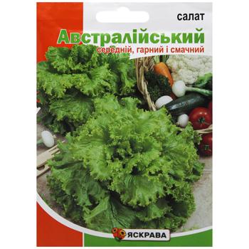 Yaskrava Australian Lettuce Seed 5g