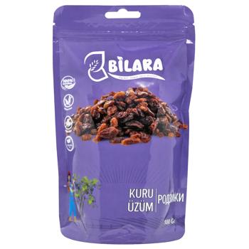 dried fruits raisins bilara 100g