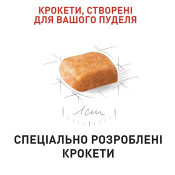 Cухий корм для цуценят Royal Canin Poodle Puppy 500 г - купити, ціни на MasterZoo - фото 5