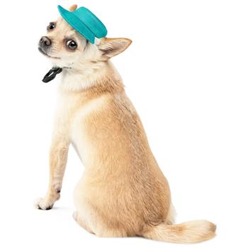 Panama Pet fashion - buy, prices for MasterZoo - photo 2