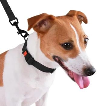 Barksi Surf водовідштовхувальний нашийник для собак M - чорний - купить, цены на MasterZoo - фото 2