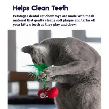 Іграшка для котів Petstages Dental Cherries - купити, ціни на MasterZoo - фото 3
