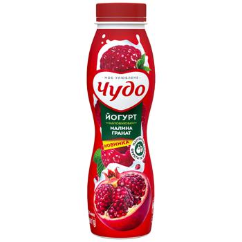 Chudo Raspberry-Pomegranate Yoghurt 2.5% 260g - buy, prices for Epicentr FOOD - photo 1