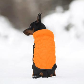 AiryVest Uni Dog Jacket s.XS28 Orange-Black - buy, prices for - photo 3