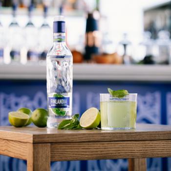 Finlandia Lime vodka 37.5% 1l - buy, prices for - photo 2