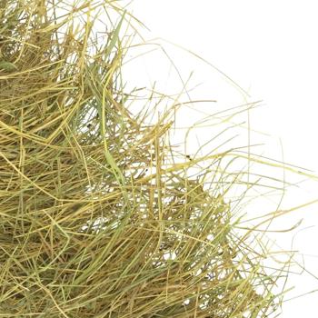 Мій Пухнастик пресоване сіно для гризунів 1 кг - купить, цены на MasterZoo - фото 4