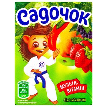 Сок Садочок Мультивитамин с мякотью 200мл - купить, цены на NOVUS - фото 2