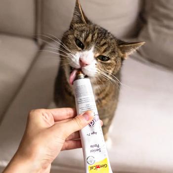 Лакомство для пожилых кошек GimCat Expert Line Senior Paste 50г - купить, цены на MasterZoo - фото 3