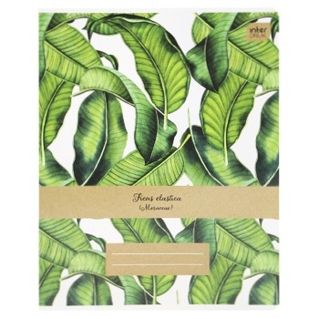 School Notebook Botanique A5 24 sheets - buy, prices for - photo 5