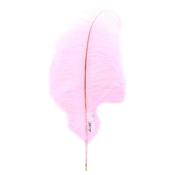 Ostrich Feathers 50-55cm 1pc - buy, prices for Za Raz - photo 2