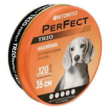 Collar Perfect gold - buy, prices for MasterZoo - photo 1