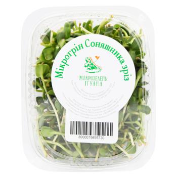 Iguana Cut Sunflower Microgreen 200g - buy, prices for - photo 1