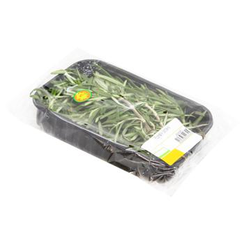 Rosemary Packing