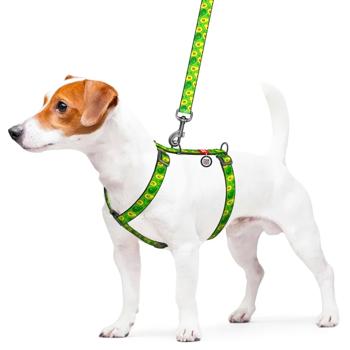Waudog Nylon H-Shaped Harness for Dogs with QR Passport 30-40cm/15mm with Avocado Design - buy, prices for MasterZoo - photo 3