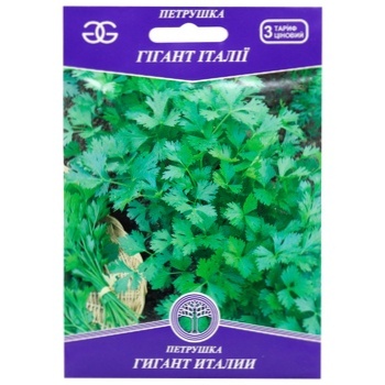 Golden Garden Giant of Italy Leaf Parsley Seeds 15g - buy, prices for Auchan - photo 1